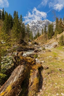 Enger-Grund creek, Eng valley, Austria