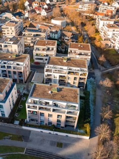 Modern residential building with shady streets and trees in the sunshine, Nagold, Black Forest,