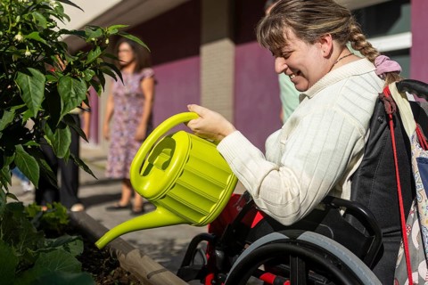 A person in a wheelchair joyfully tends to a garden at a mental health day center, highlighting the