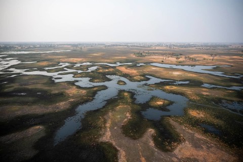 Wetland, landscape, aerial view of the Okavango Delta, near Maun, Okavango Delta, Botswana