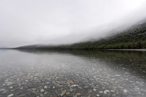 Clear lakeside with pebbles under water, fog-shrouded, wooded slopes, Tierra del Fuego National