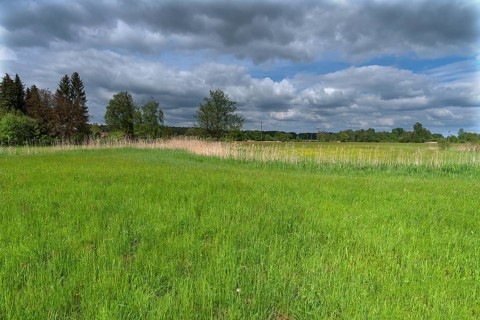 Wisenlandschaft, Schrobenhausen, Upper Bavaria, Germany