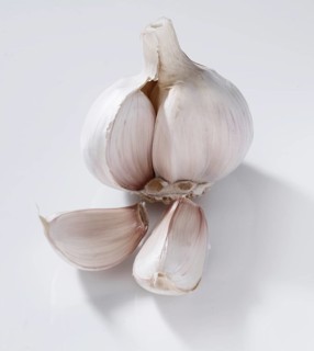 Garlic (Allium sativum), on a white background, studio shot