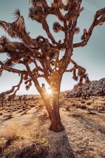 Woman at sunset in Joshua Tree National Park