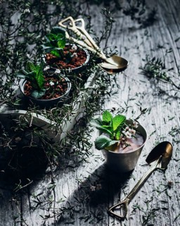 A creative presentation of a delicious mint chocolate dessert garnished with fresh mint in