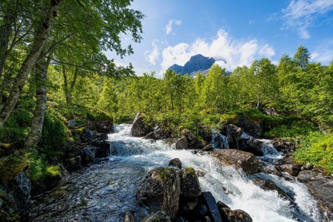 River Flou between Birkenwald, Innerdalen, Hochtal, Sunndal, Møre og Romsdal, Vestlandet, Norway