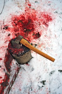 House slaughter on a farm: duck slaughter ground with chopping block and axe, duck blood in the