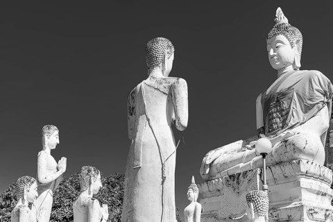 Stone Buddha statues, historic Buddhist temple complex, black and white photo, Ayutthaya, Thailand
