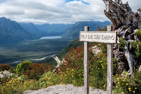 End of hiking path up to viewpoint, crater rim of volcano Chaiten, dead trees, Park Patagonia,
