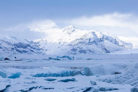 Grey seal, (Halichoerus grypus), glacier lagoon, glacial lake, glacial ice, water, snow, winter,