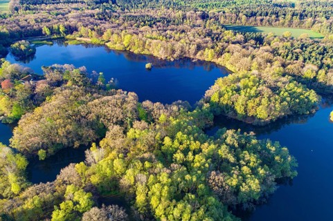 Aerial view of Ahlhorn fish ponds, autumnal, pond, lake, Lower Saxony State Forests, Ahlhorn, Lower