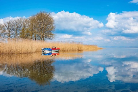 Silent morning on the banks of Lake Müritz, a boat anchored in the water on the reed belt, blue sky