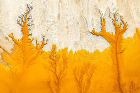 Aerial view of fractal mud textures showcasing vibrant orange patterns against a pale backdrop. The