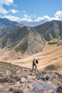 Traditional Kyrgyz eagle hunter hunting in the mountains in a dry landscape, near Kysyl-Suu, Issyk