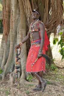 Maasai warrior wearing traditional dress and standing in a typical pose on one leg, near Enkutoto,