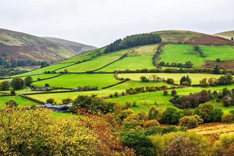 Autumn colors over Farms and Fields, Wales, UK