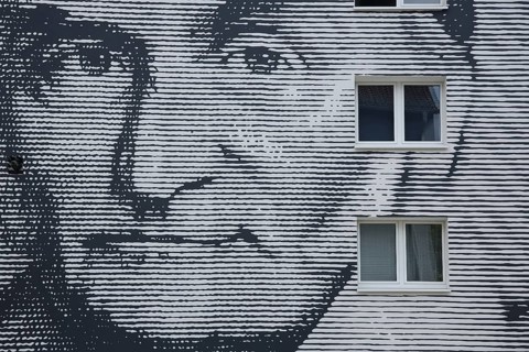 Mural mathematician Carl Friedrich Gauß by Thomas Stolz 2015, street art, graffiti, monochrome gray