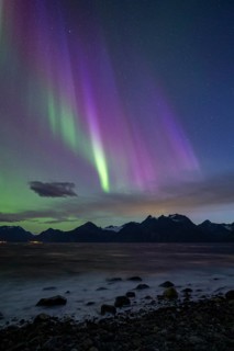 Northern Lights at Lyngenfjord, Lyngen Alps, Lyngen, Troms og Finnmark, Norway