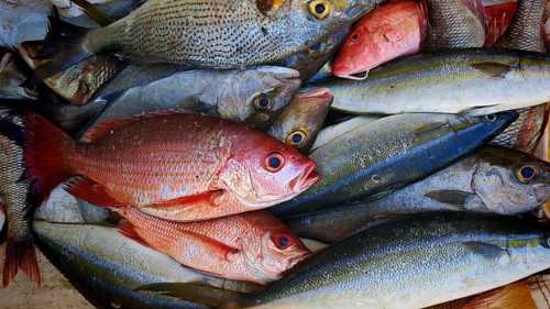 Close-up, A variety of fish, colourful fish (pisces), presented fresh on a market place, Fish