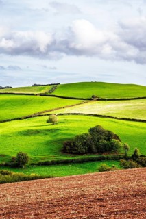 Colours of Devon Farms and Fields over Paignton and Berry Pomeroy, Totnes, England, United Kingdom