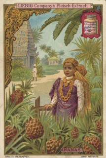 Series tropical fruits with local people, pineapple, Liebig picture, digitally restored
