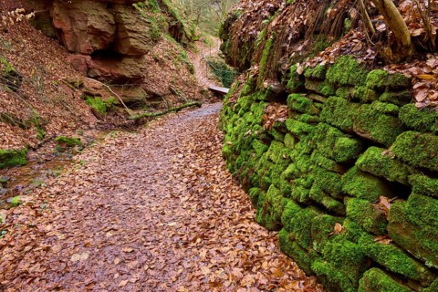 Winding forest trail with moss-covered stone walls and autumn leaves, Seltenbach Gorge, Klingenberg