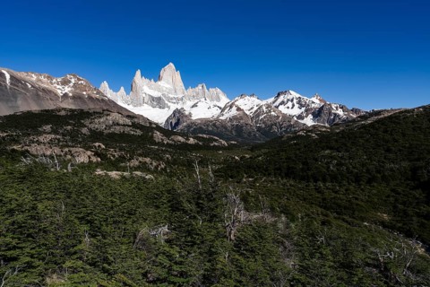Cerro Fitz Roy with snow-covered granite peaks, in front of it wooded hills with southern beeches