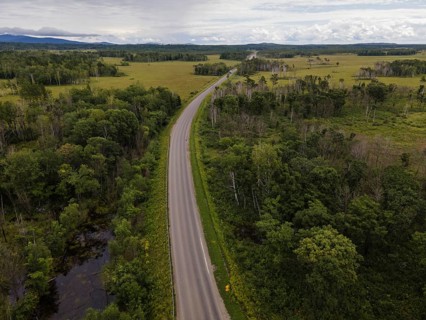 A winding road cuts through lush green fields and forests in Vladivostok, Russia. This peaceful
