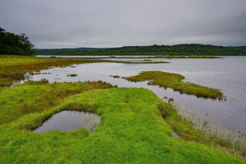 Green grassland on the edge of a lake with cloudy sky, Tarbert, Loch Fyne, Kyles of Bute, Scotland,