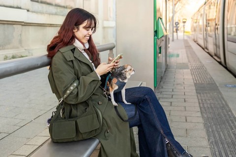 A woman sits at a tram station with her chihuahua, smiling at her phone. She wears a green coat and