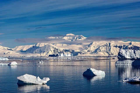 Isolated icebergs in still water in front of a snow-covered mountain backdrop under a slightly