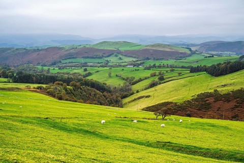 Autumn colors over Farms and Fields, Wales, UK