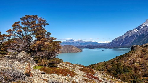 Wide view of a lake surrounded by mountains with a large tree in the foreground under a blue sky,