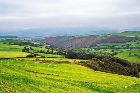 Autumn colors over Farms and Fields, Wales, UK