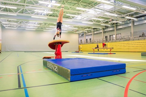 Gymnast doing handstands on a horse jump, gym with lines on the ground, Gymnastics, Calw, Germany
