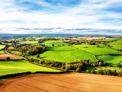 Colours of Devon Farms and Fields over Paignton and Berry Pomeroy from a drone, Totnes, England,