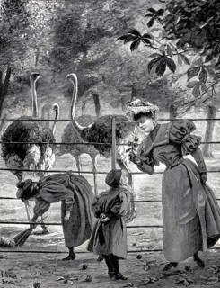 In front of the ostrich enclosure, mother and daughter in the zoological garden, 1896,
