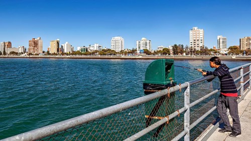 A man fishing on a railing on a pier with views of the city and the sea in the background, the city