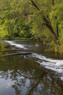 Thaya riverbanks. Hardegg is a small town in the district of Hollabrunn in Lower Austria, Austria.