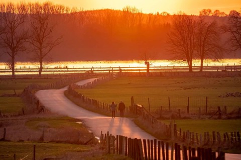 Bislicher Insel, in winter, floods in the floodplains due to Rhine flooding, nature reserve on the
