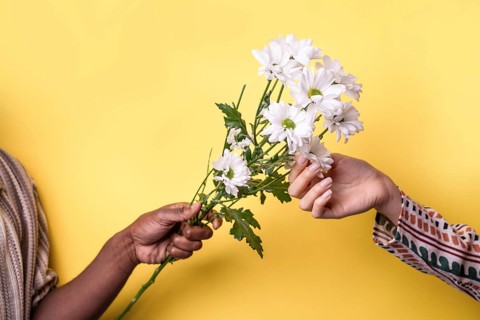 A close-up image of a man's and woman's multiethnic hands tenderly holding a delicate white flower