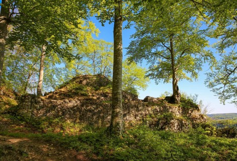 Ruin of Alter Lichtenstein near Lichtenstein Castle, eaves of the Swabian Alb, trees, deciduous