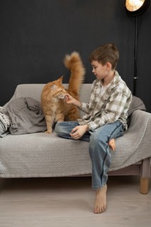 A young boy sits barefoot on a cozy sofa, gently petting a fluffy orange cat. The warm interior,
