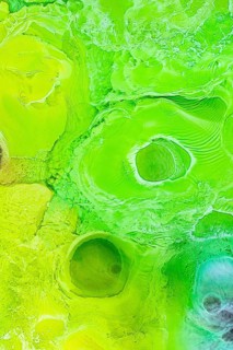 A vivid abstract design showcasing green liquids textures and circular patterns. The dynamic