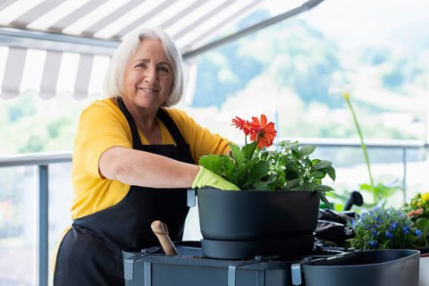 An elderly woman in a yellow shirt and apron tends to vibrant flowers in a pot, including a red