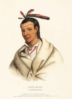 Indians, Historical Indian tribes from North America, Charles Bird King (1785, 1862), Historical,