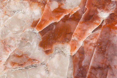 A detailed macro photograph of fossilized dinosaur feces, coprolite, showcasing its layered