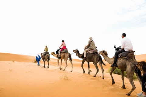 Tourists on dromedaries in the desert, near Merzouga, Meknès-Tafilalet region, Erg Chebbi, northern