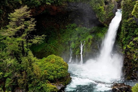 Waterfall falls over mossy basalt rocks in Gumpe, surrounded by dense Valdivian rainforest, Salto