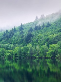 Morning fog at the Edersee, Ederstausee, Edertalsperre, Hesse, Germany